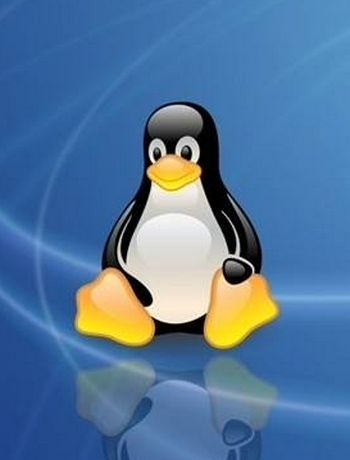 Linux性能优化-admin